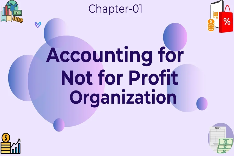 accounting for not for profit organisation