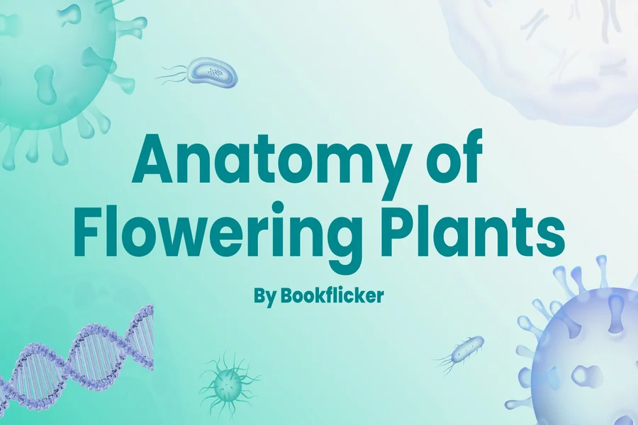 anatomy of flowering plants