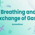 breathing and exchange of gases