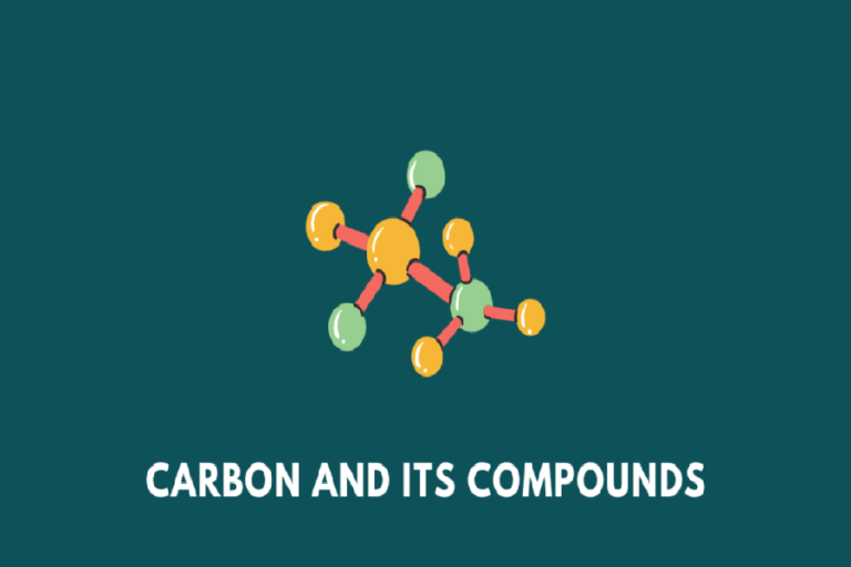 NCERT Solutions Class 10 Science Chapter 4: Carbon and Its Compounds ...