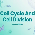 cell cycle and cell division