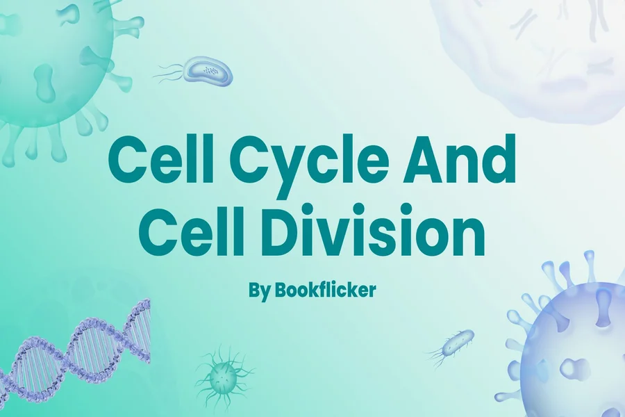 cell cycle and cell division