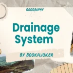 drainage system