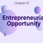 entrpreneurial opportunity