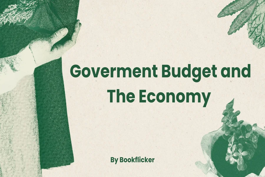 government budget and the economy