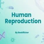 human reproduction