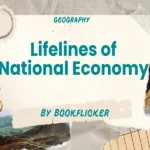 lifelines of national economy