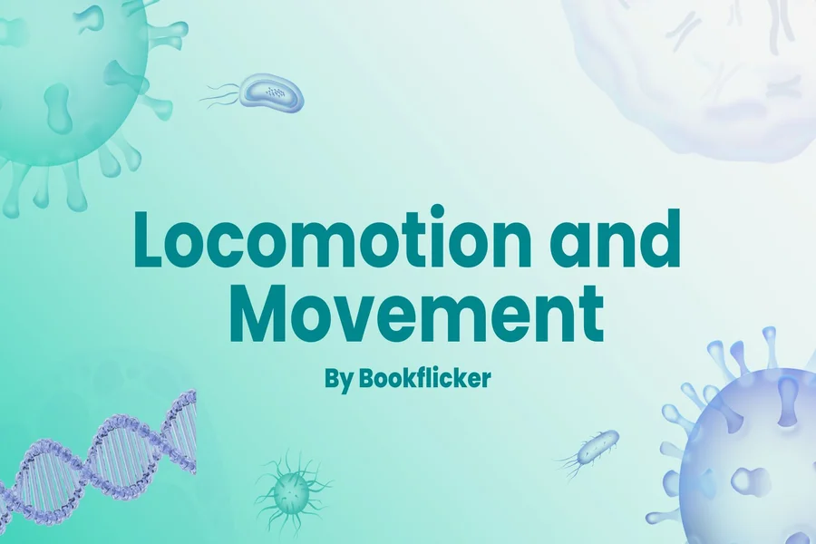 locomotion and movement