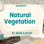 natural vegetation