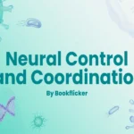 neural control and coordination