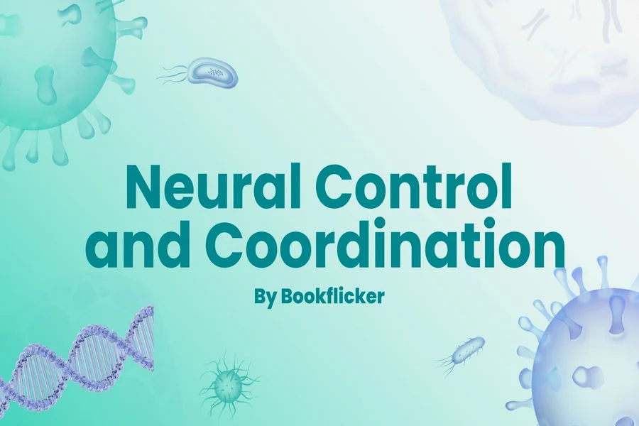 neural control and coordination