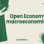 open economy macroeconomics