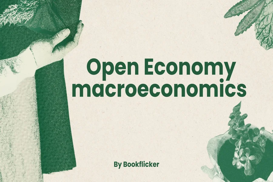 open economy macroeconomics