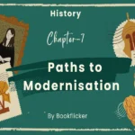 paths to modernisation