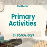 primary activities