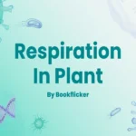 respiration in plant