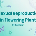 sexual reproduction in flowering plants