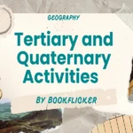 tertiary and quaternary activities