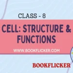cell structure and functions class 8