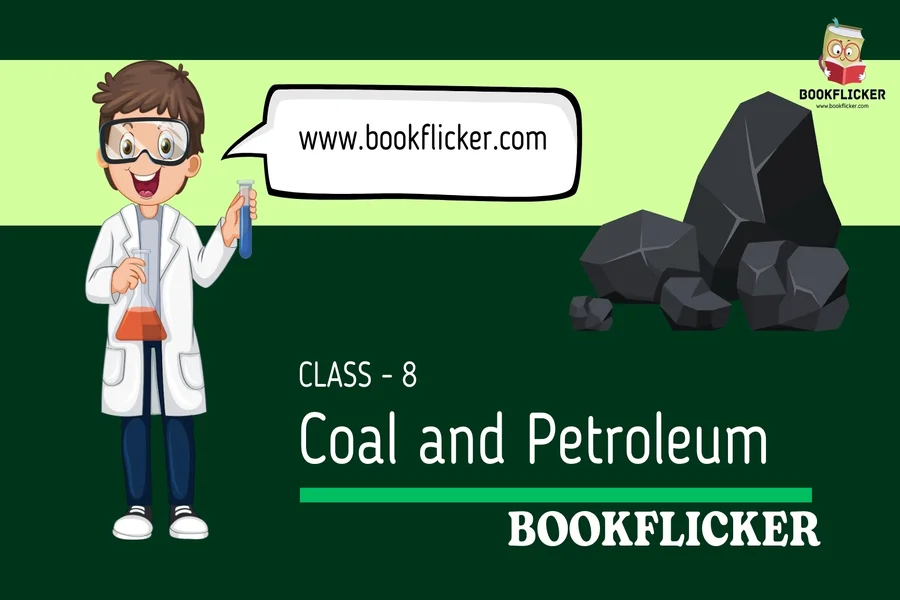 coal and petroleum class 8