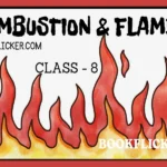 combustion and flame class 8