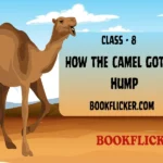 how the camel got his hump class 8