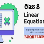 linear equations class 8