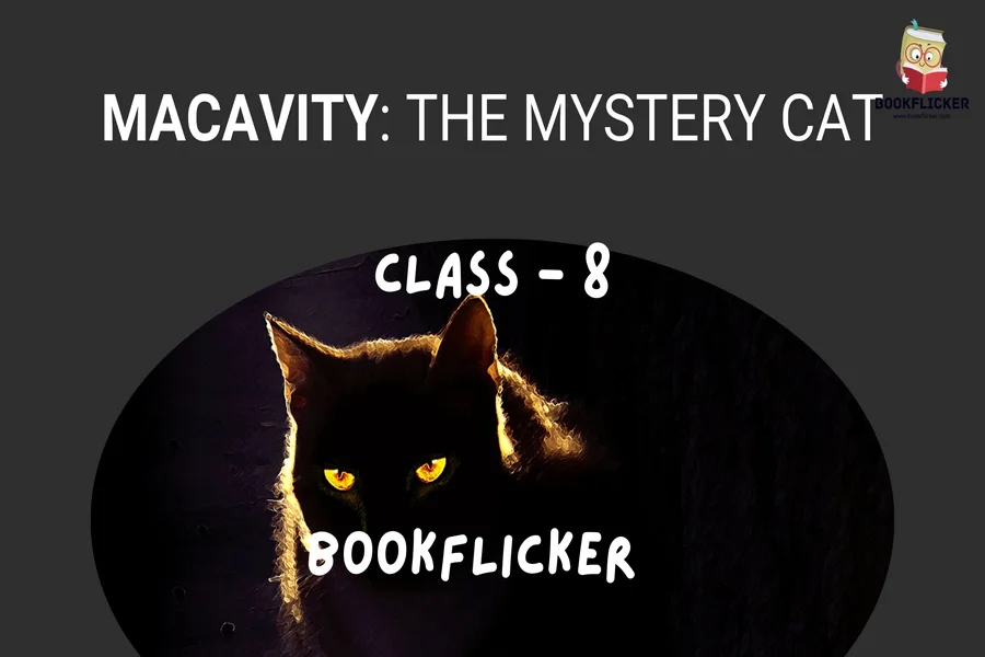 macavity the mystery cat class 8