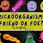 microorganisms friend or foe