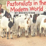 pastoralists in the modern world