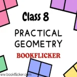 practical geometry class 8