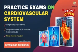 practice exams on cardiovascular system