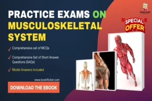 practice exams on musculoskeletal system