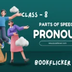 pronoun class 8