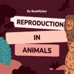 reproduction in animals