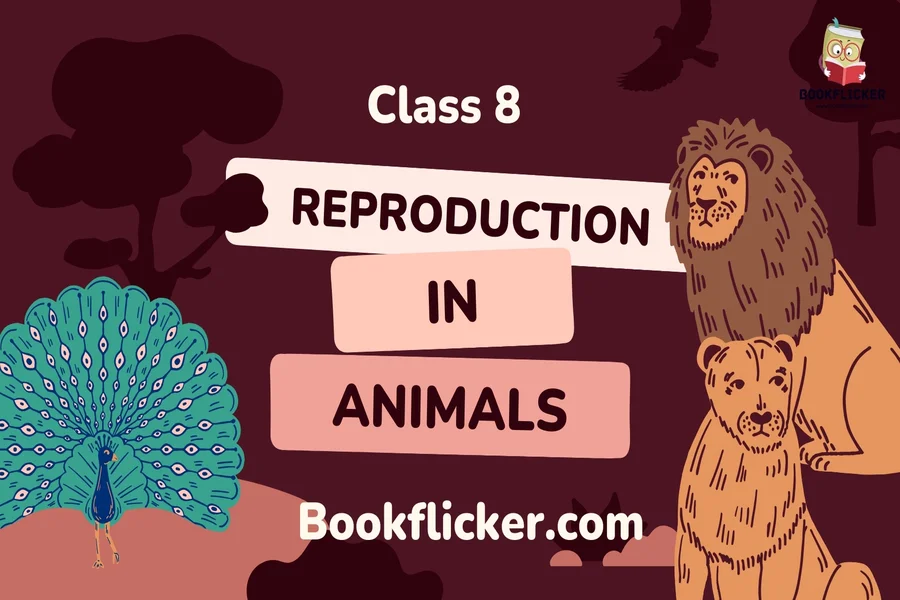 reproduction in animals class 8