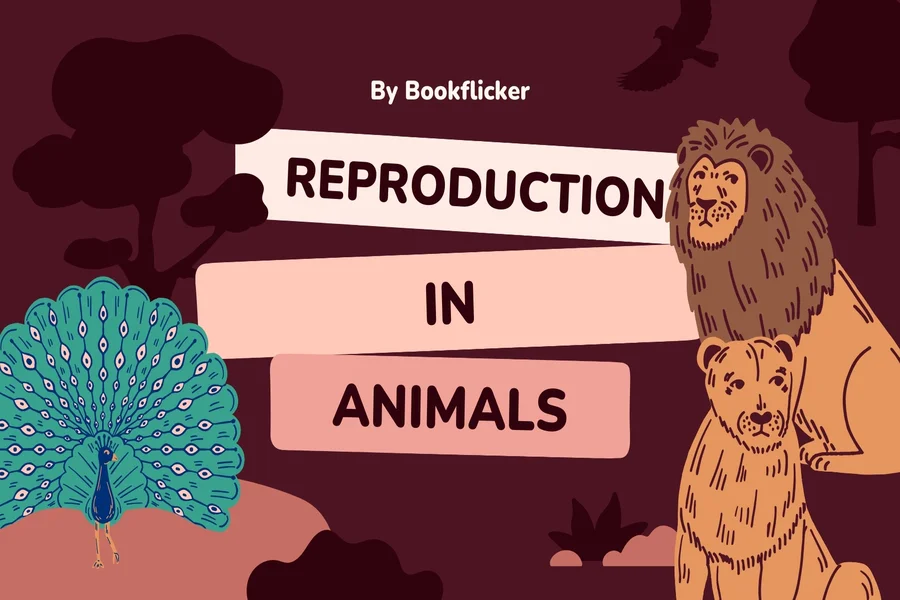 reproduction in animals