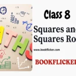 squares and square roots class 8