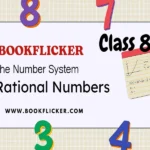 the number system rational numbers class 8