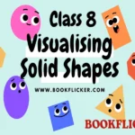 visualising solid shapes class 8