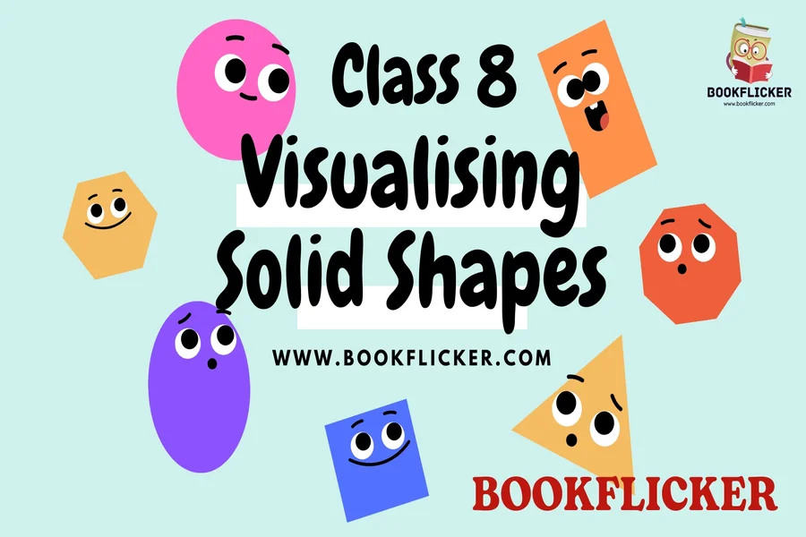 visualising solid shapes class 8