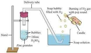 Hydrogen gas is usually liberated when an acid reacts with a metal