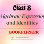 algebraic expression class 8